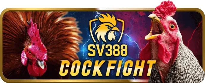Hình ảnh minh họa cờ bạc có trách nhiệm tại v8.casino